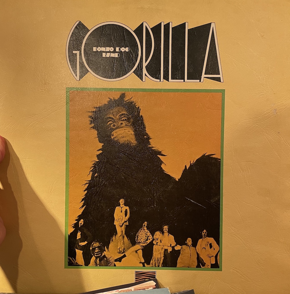 Gorilla