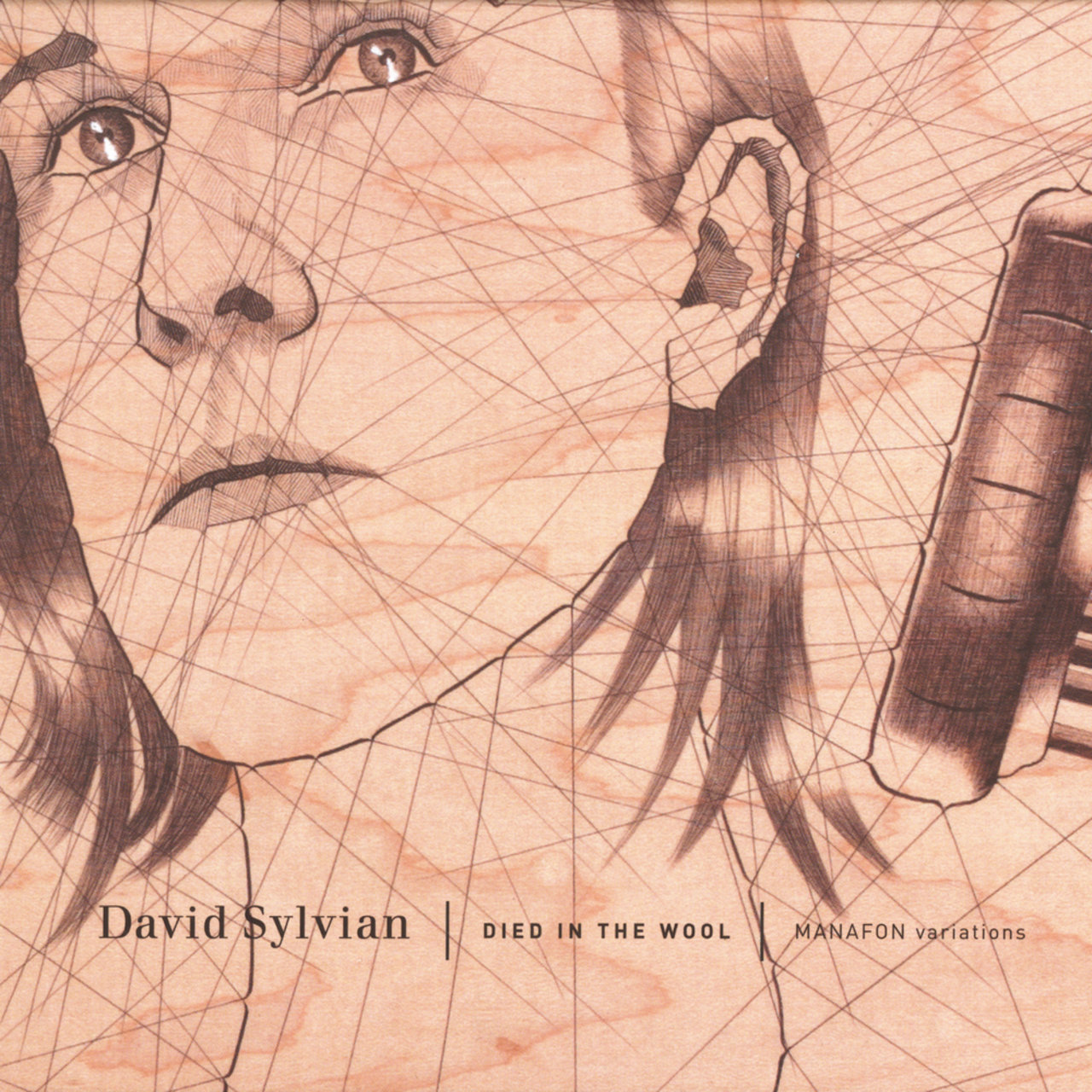 David Sylvian 'Died In The Wool - Manafon Variations'