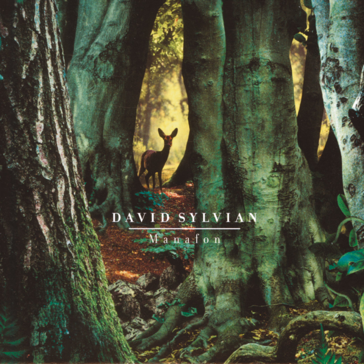 David Sylvian 'Manafon'